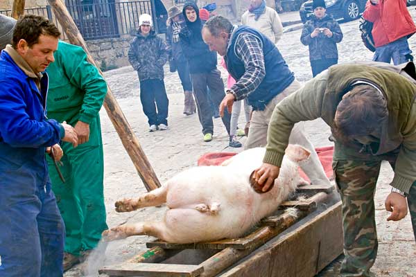 Matanza tradicional del cerdo