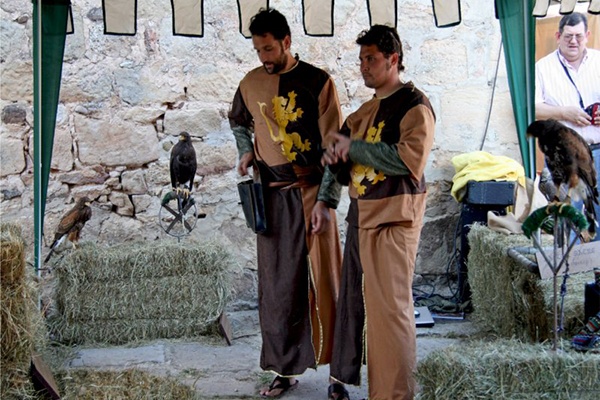 Cetrería en el Mercado medieval de Molinos de Duero