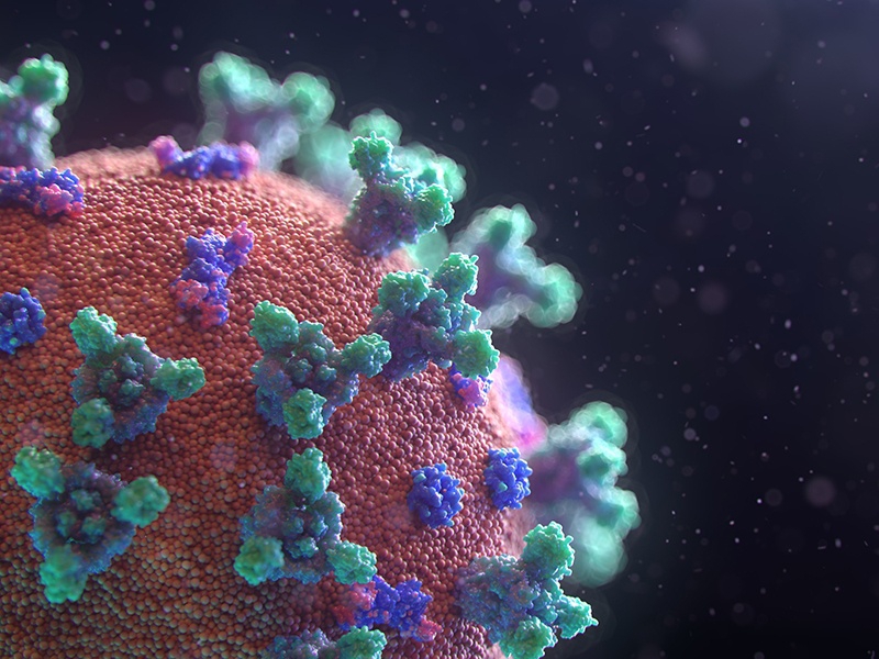 Coronavirus: ¿Evitable o ...Inevitable?